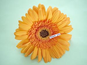 京都府【舞鶴　かね和】の商品を通販で