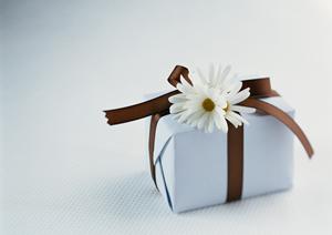 スチールラックの魅力とはいかなるものか