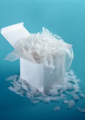 デジタルサイネージを価格で選ぶなら